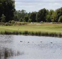 Llanherne Golf Club - New Castle Holiday