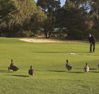 Royal Hobart Golf Club - New Castle Holiday