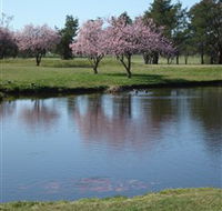 RMC Golf Club - New Castle Holiday