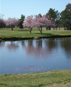 RMC Golf Club - New Castle Holiday 0