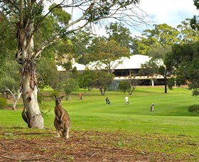 Pambula Merimbula Golf Club - New Castle Holiday 0