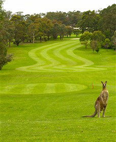 Pambula Merimbula Golf Club - New Castle Holiday 2