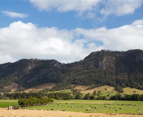 Kia Ora NSW New Castle Holiday