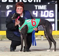 Bulli Greyhound Racing Club - New Castle Holiday