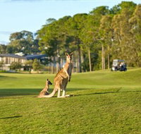 Sanctuary Cove Golf and Country Club - New Castle Holiday