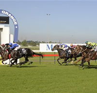 Kembla Grange Racecourse - Illawarra Turf Club - New Castle Holiday