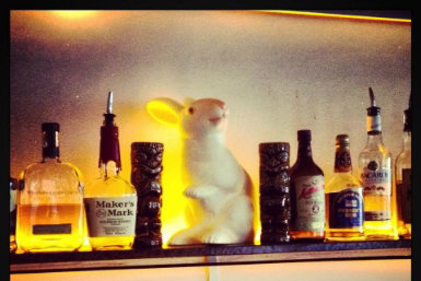 Hairy Canary - New Castle Holiday 0