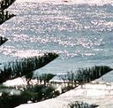 Bondi Social - New Castle Holiday