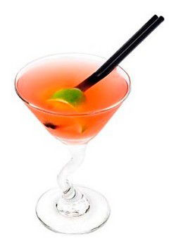 Easts Bondi Junction - New Castle Holiday 1