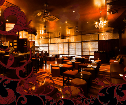 Hippo Lounge Bar - New Castle Holiday