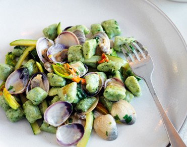 Uccello - New Castle Holiday 4