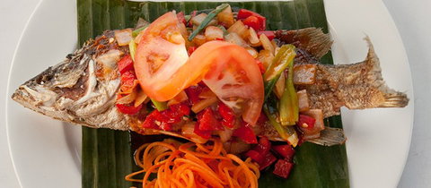 The Thai And I - New Castle Holiday 2