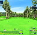 XGOLF - New Castle Holiday