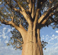 The Kimberley Grande - New Castle Holiday
