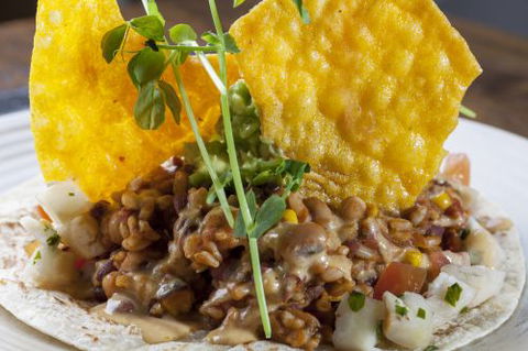 The Beet - New Castle Holiday 4