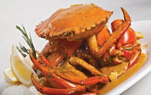 Fish D’Vine & The Rum Bar - New Castle Holiday 0