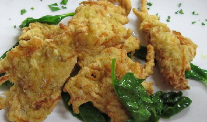 Haberfield NSW New Castle Holiday