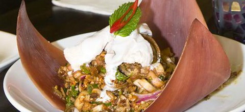 Thai Splendid Rouse Hill - New Castle Holiday 0