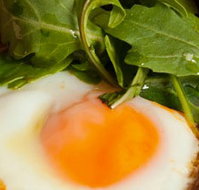 Rosebud Restaurant  Bar - New Castle Holiday