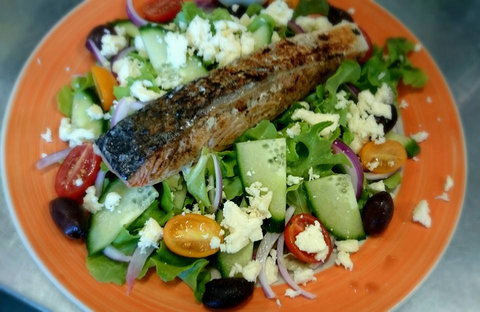 Yogolicious - New Castle Holiday 0