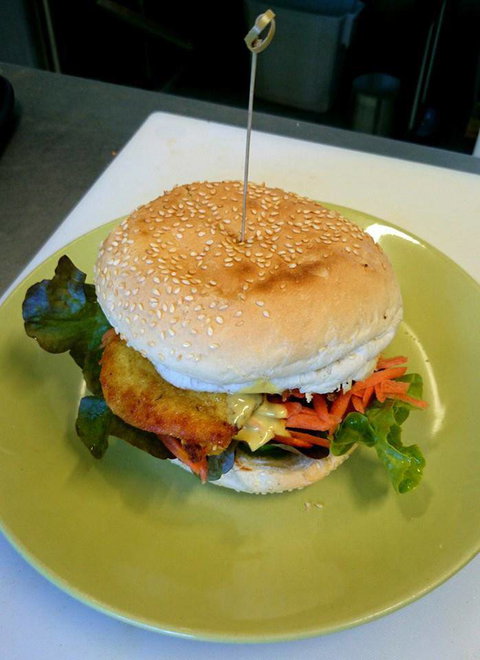 Yogolicious - New Castle Holiday 2