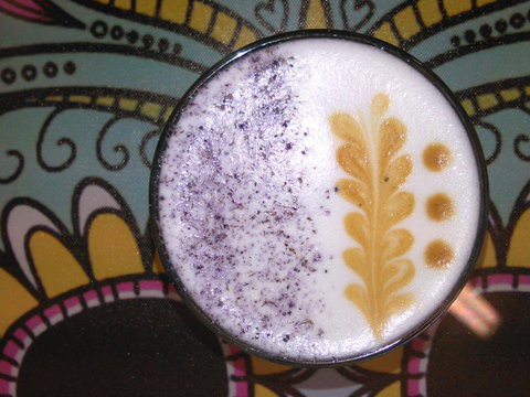 Yogolicious - New Castle Holiday 4