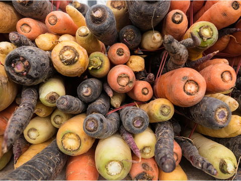 Alphington Farmers' Market - New Castle Holiday 2