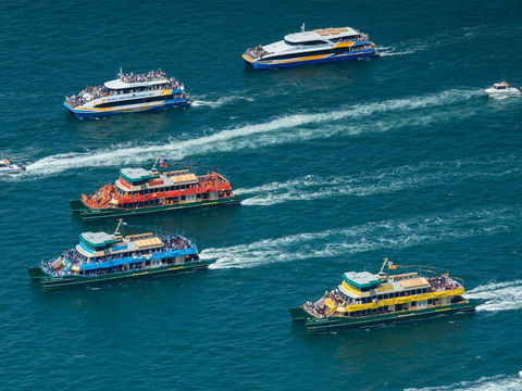 Australia Day Sydney Harbour Cruises - New Castle Holiday 1
