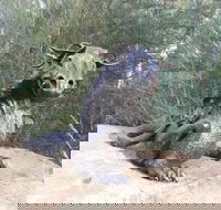 Bathurst Arts Trail - New Castle Holiday
