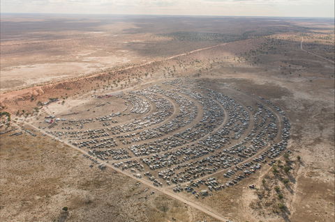 Birdsville Big Red Bash - New Castle Holiday 1