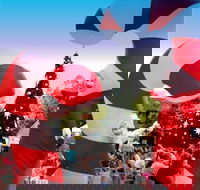 Blacktown Christmas Light Up Concert - New Castle Holiday