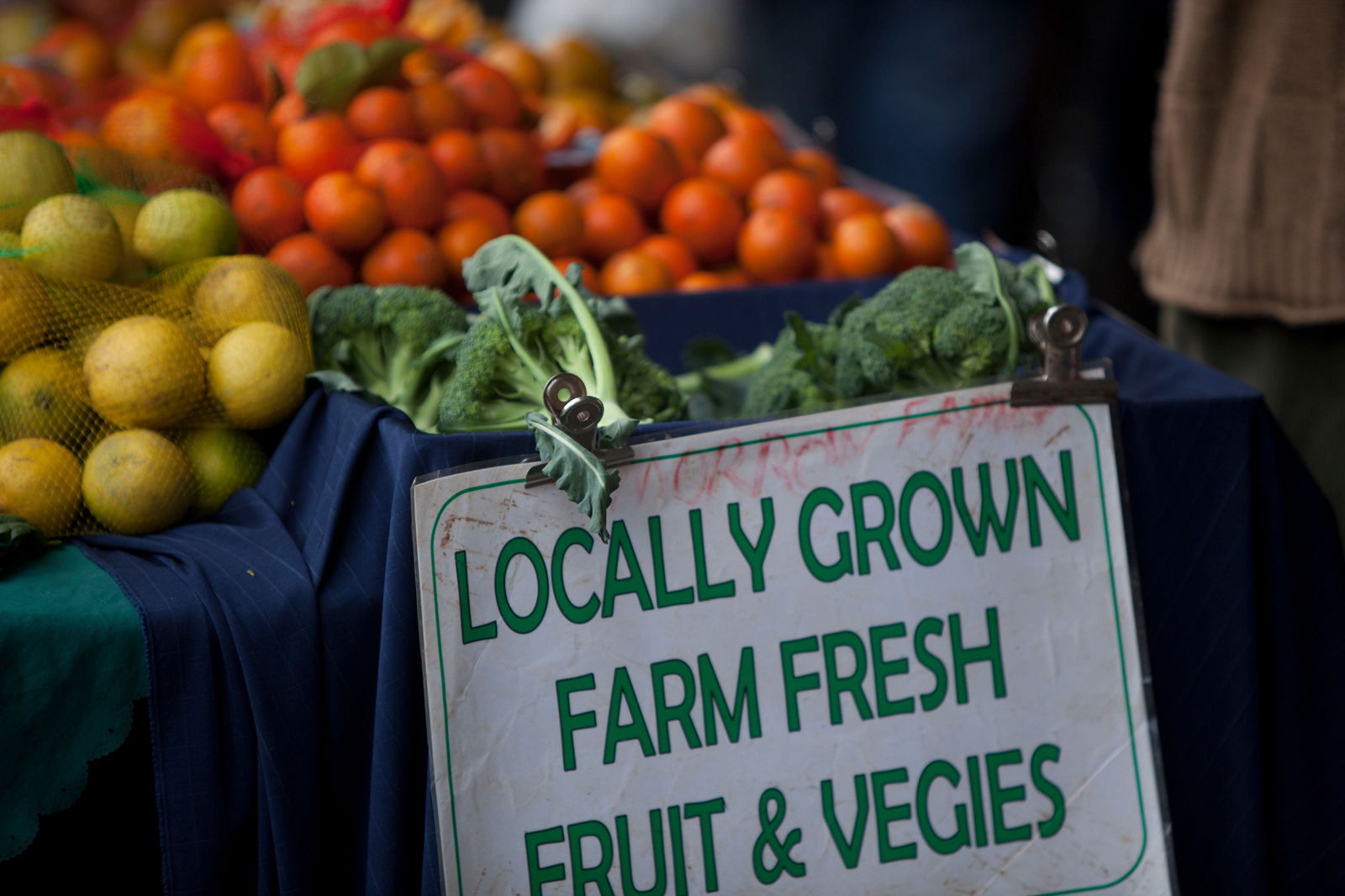 Lillian Rock NSW New Castle Holiday