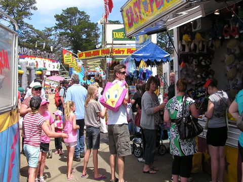 Brighton Show - New Castle Holiday 1