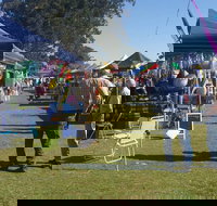 Casino Golf Club Markets - New Castle Holiday