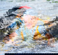 Cave Hill Creek Summer Camp - New Castle Holiday