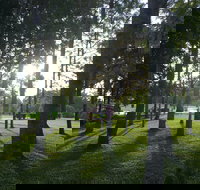 Celebration Outing Special - New Castle Holiday