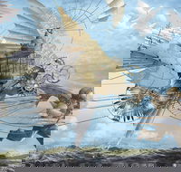 Dreams of Air and Flight - New Castle Holiday