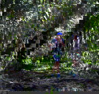 Elephant Trail Race - New Castle Holiday