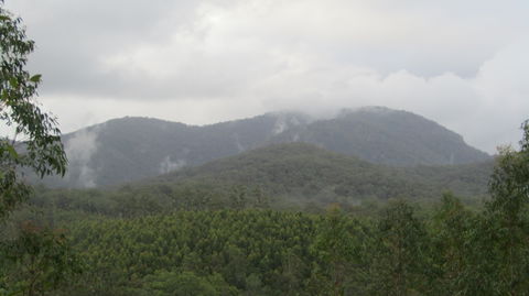 Elephant Trail Race - New Castle Holiday 2