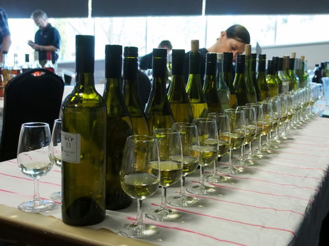 Eltham And District Wine Guild Annual Wine Show - 51st Annual Show - New Castle Holiday 1
