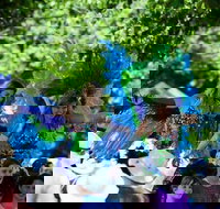 Family Fun Carnivale - New Castle Holiday