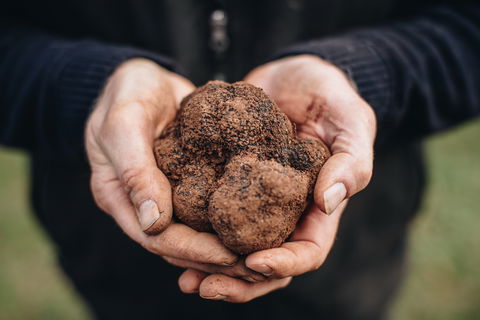 Feast And Forage - Craig's Royal Hotel - New Castle Holiday 0