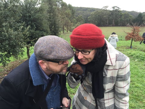 Feast And Forage - Craig's Royal Hotel - New Castle Holiday 1