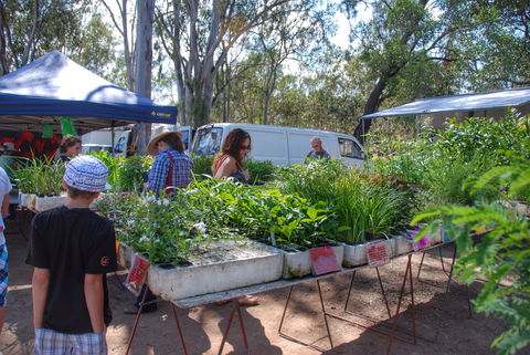 Fernvale Country Markets - New Castle Holiday 1