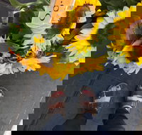 Friday Forage - New Castle Holiday