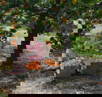 Fruit Bottling Sessions at Rayner's Orchard - New Castle Holiday