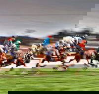 Grafton July Racing Carnival - New Castle Holiday