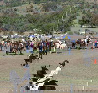 Gresford Agricultural Show - New Castle Holiday