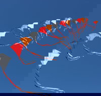 Harden Kite Festival - New Castle Holiday