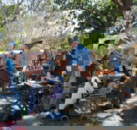 Herring Island Summer Arts Festival - New Castle Holiday